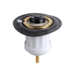4.5 DIAPHRAGM ASSY WITH SEAT