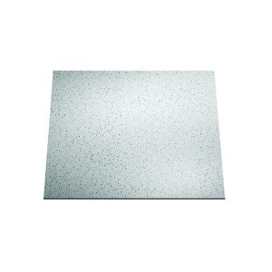 ACP 741-00 CASE OF 2’ X 2’ PRINTED (SPECKLED) WATERPROOF CEILING TILES (12 PC)